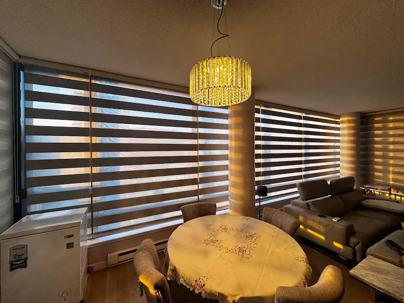 Learn more onZebra Blinds and coverings to do description